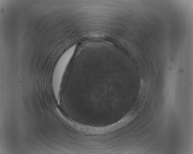 X0000082740048200702091914