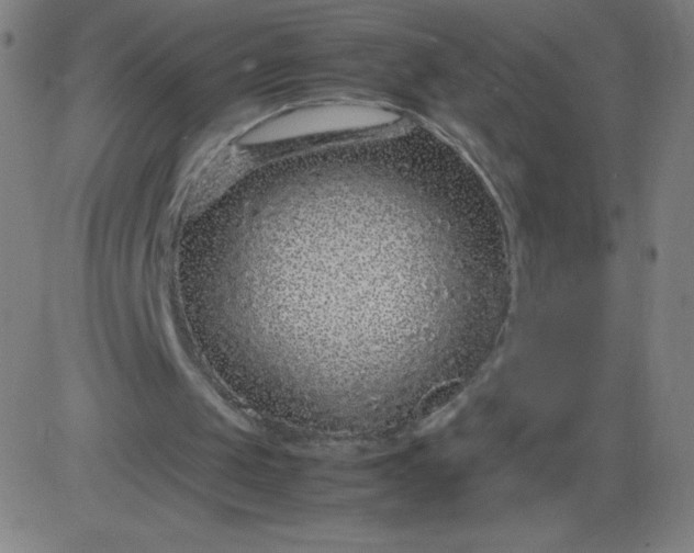 X0000082740049200702091913