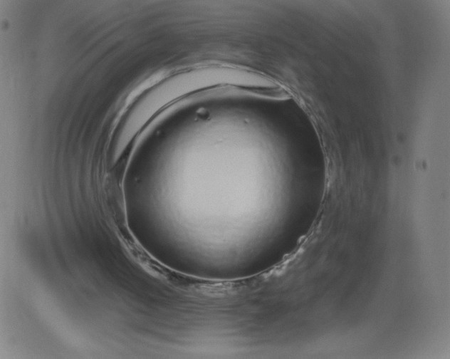 X0000082740050200702091913