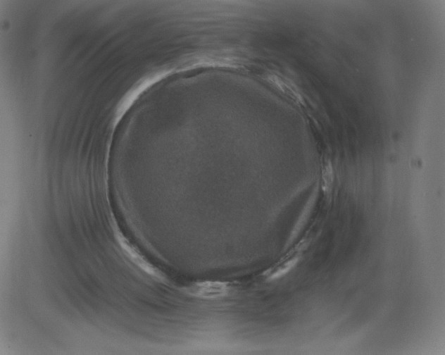 X0000082740052200702091913