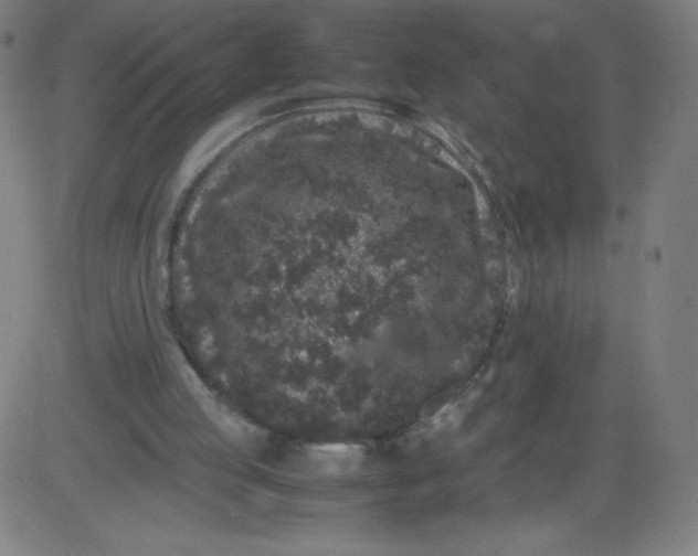 X0000082740053200702091913