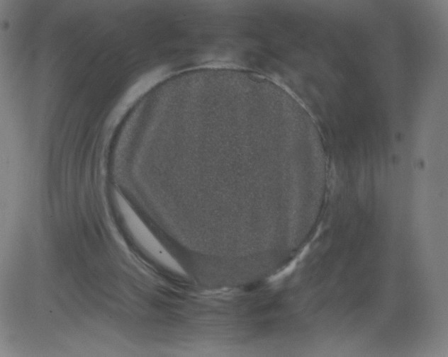 X0000082740055200702091913