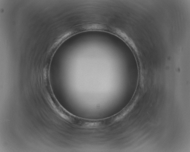 X0000082740057200702091913