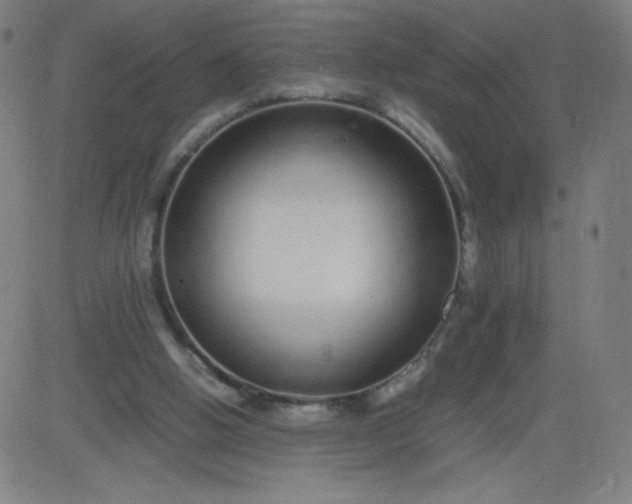 X0000082740058200702091913