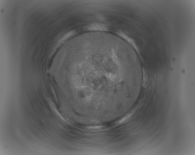 X0000082740061200702091913