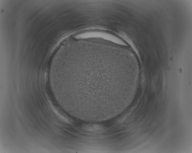 X0000082740063200702091913