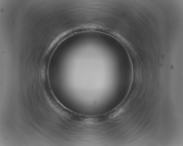 X0000082740064200702091913