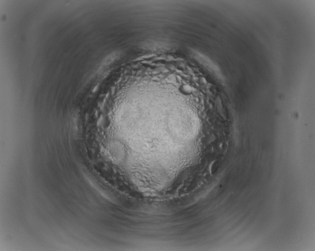 X0000082740065200702091914