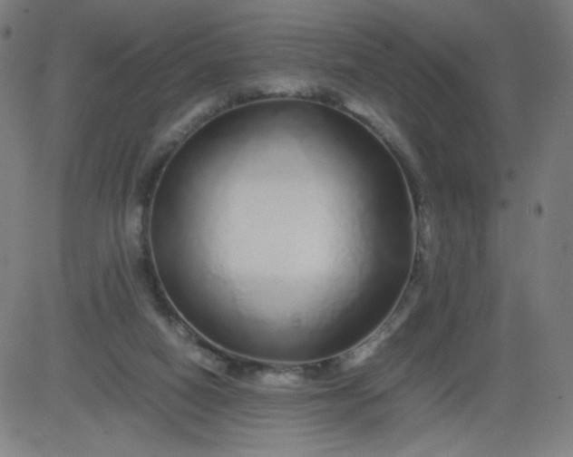 X0000082740066200702091914