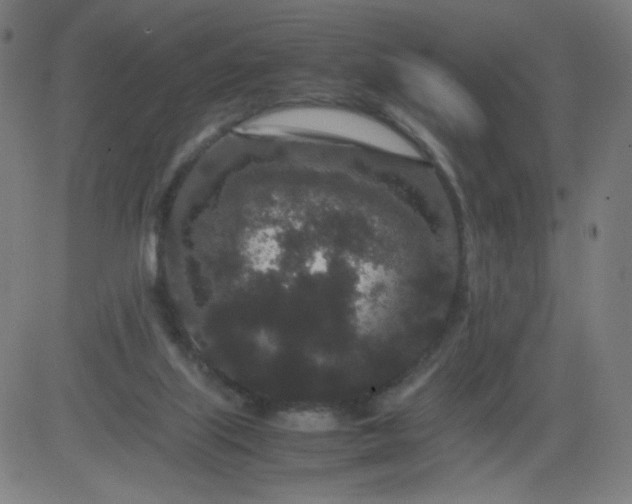 X0000082740067200702091914