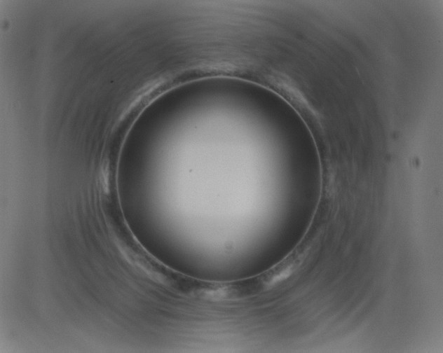 X0000082740068200702091914