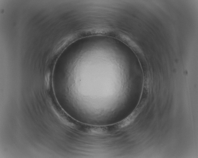 X0000082740070200702091914