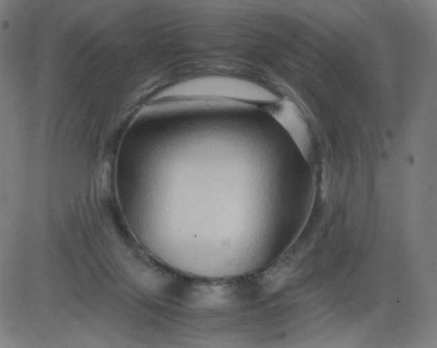 X0000082740071200702091914