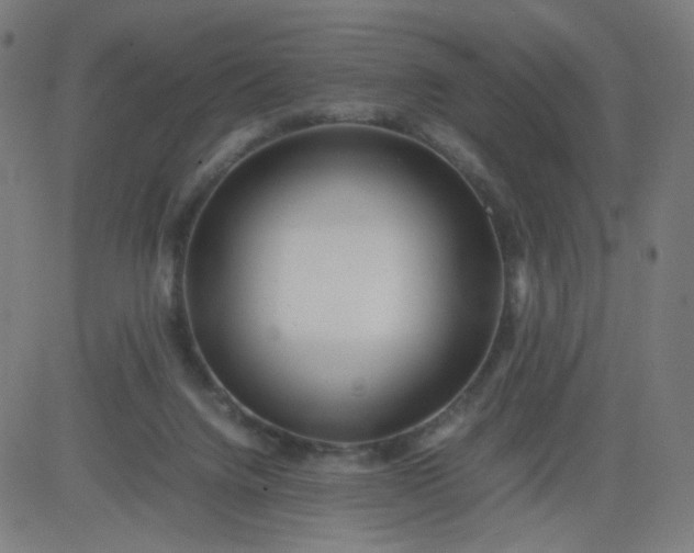 X0000082740072200702091914