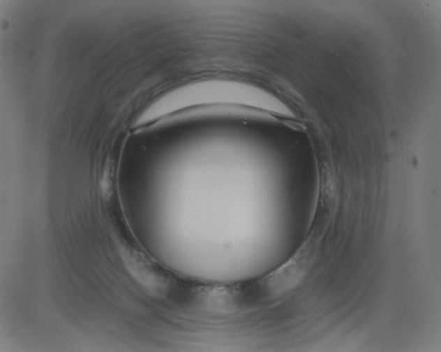 X0000082740074200702091914