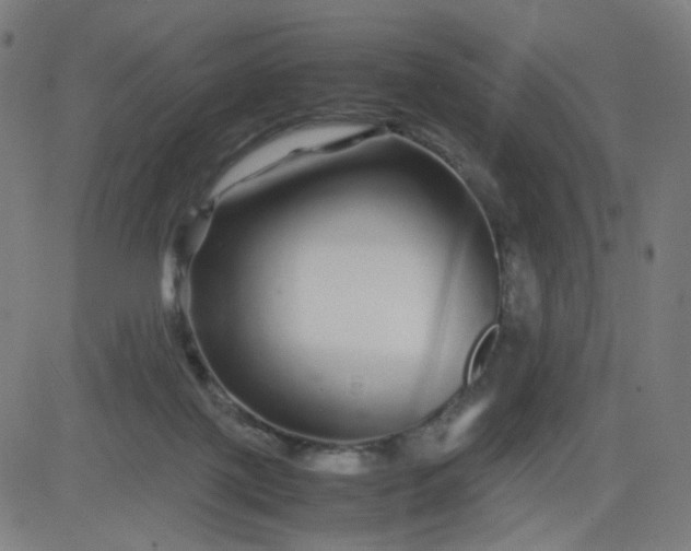 X0000082740075200702091914