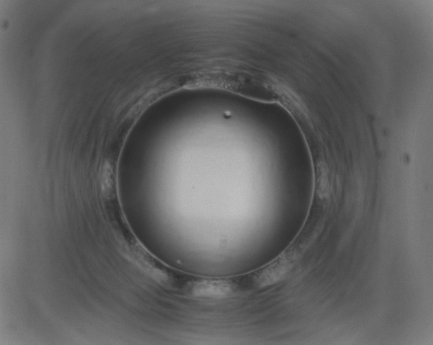 X0000082740077200702091914