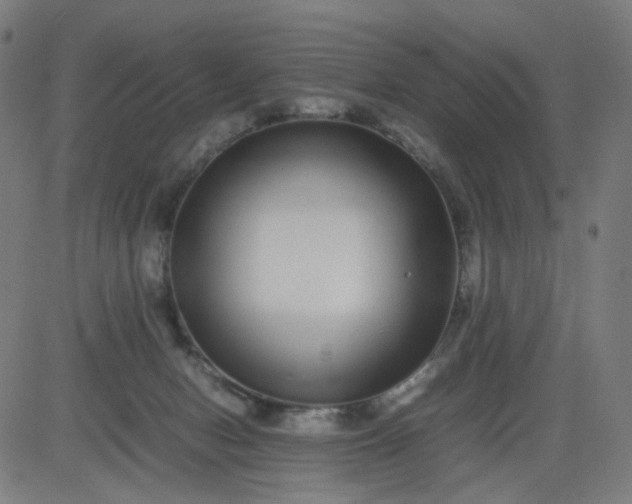 X0000082740078200702091914