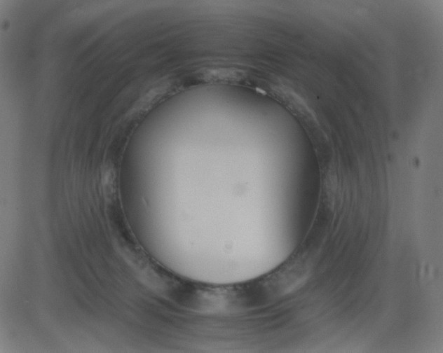 X0000082740079200702091914