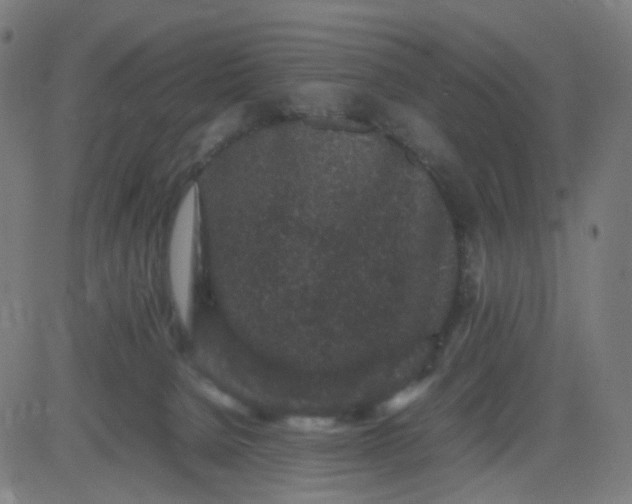 X0000082740080200702091914