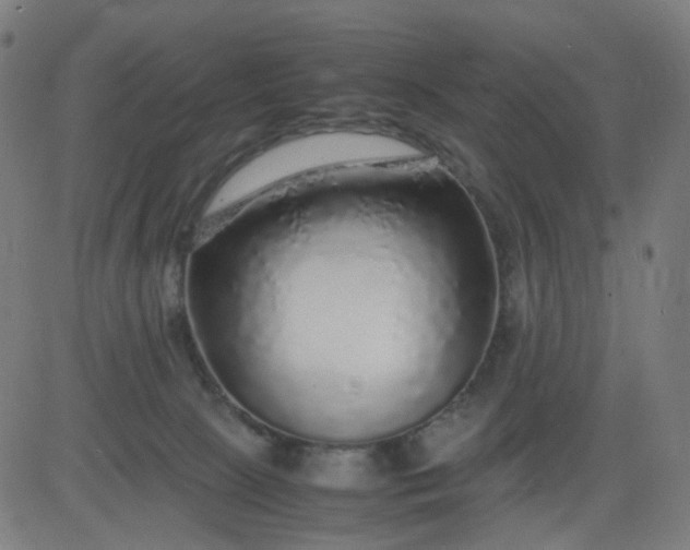 X0000082740081200702091914