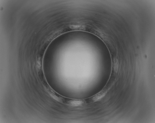 X0000082740085200702091914