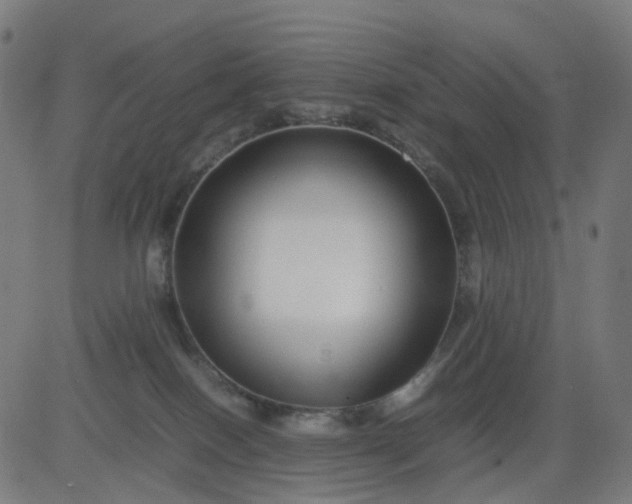 X0000082740086200702091914