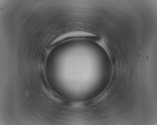 X0000082740088200702091914