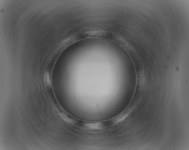 X0000082740089200702091914