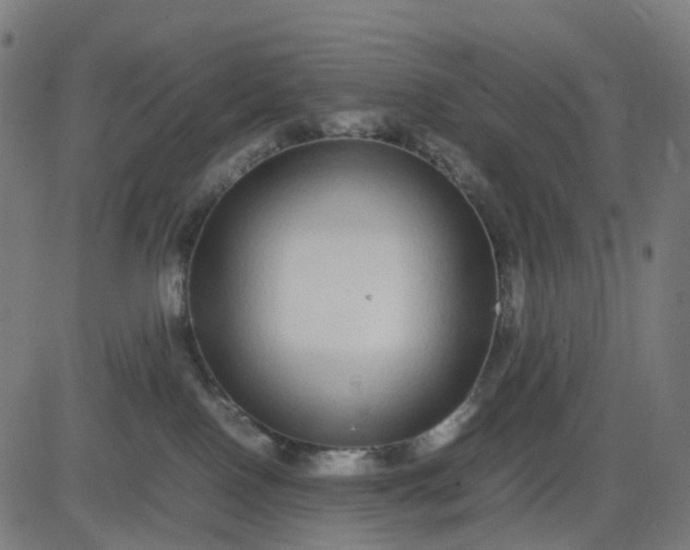 X0000082740090200702091914