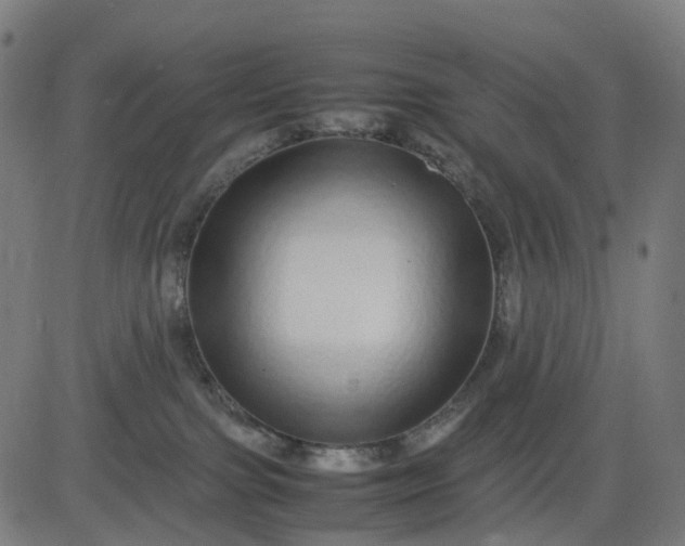 X0000082740091200702091914