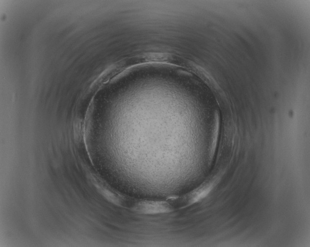 X0000082740093200702091914