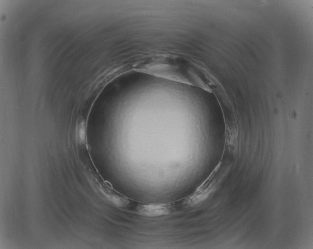 X0000082740095200702091914