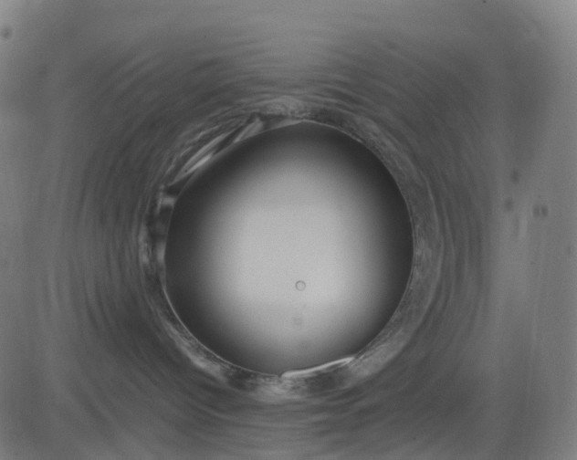 X0000082740096200702091914