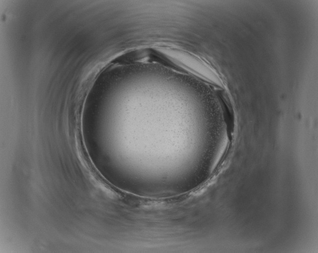 X0000082740097200702091913