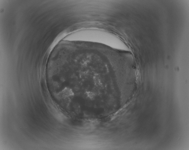 X0000082740099200702091913