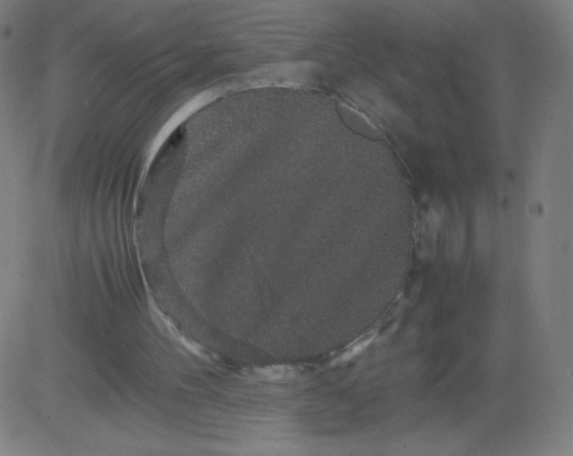 X0000082740100200702091913