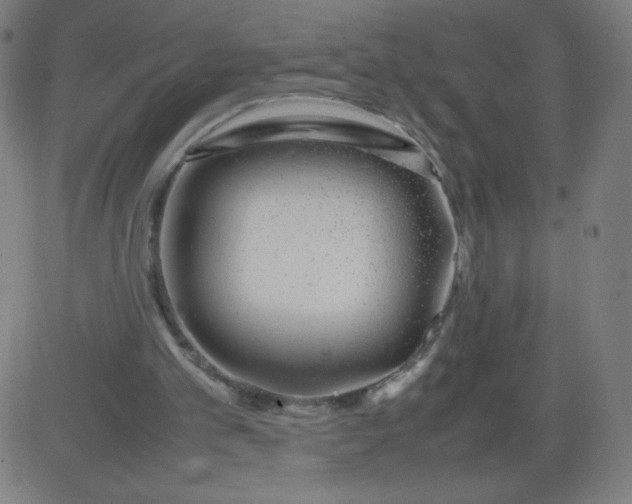 X0000082740101200702091913