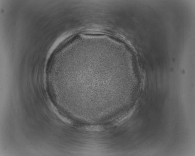 X0000082740102200702091913