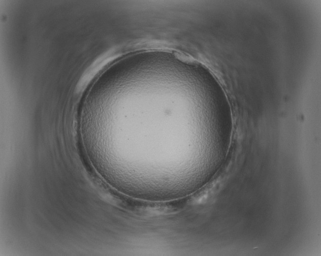 X0000082740103200702091913