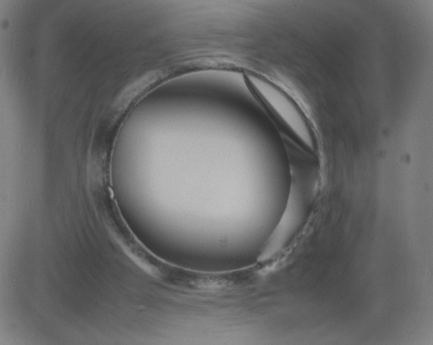 X0000082740105200702091913