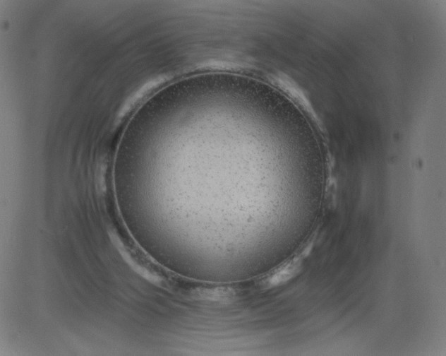 X0000082740106200702091913