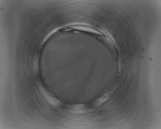 X0000082740108200702091913