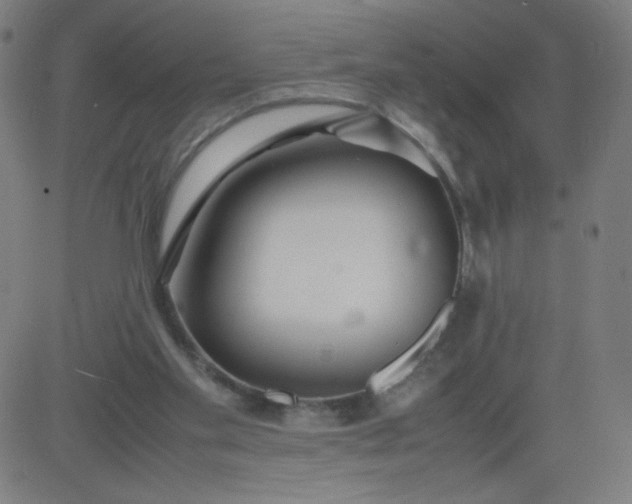 X0000082740109200702091913