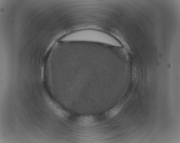 X0000082740110200702091913