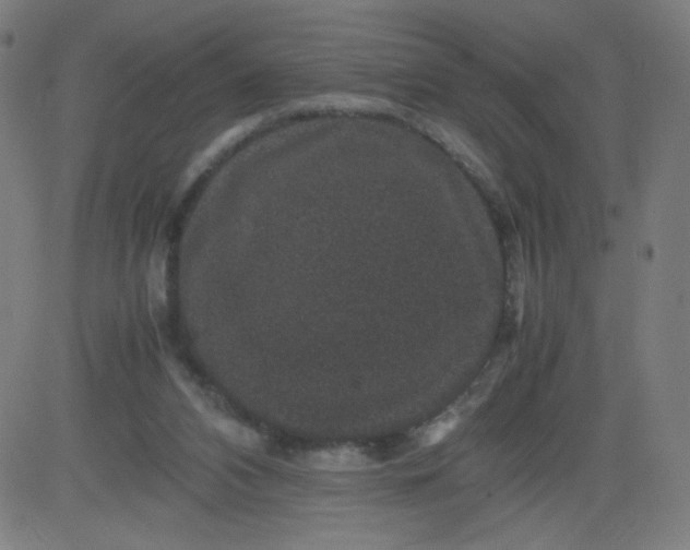 X0000082740112200702091913