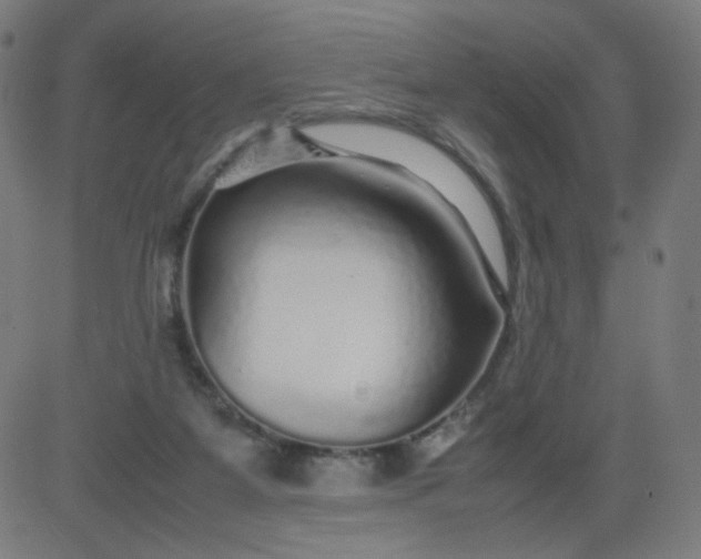 X0000082740115200702091913