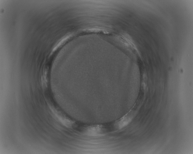 X0000082740116200702091913