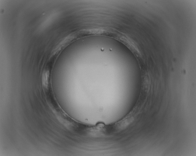 X0000082740118200702091913