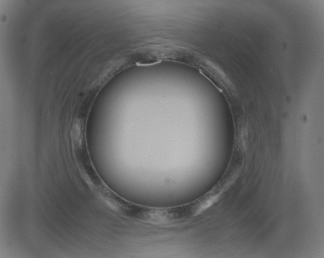 X0000082740121200702091913